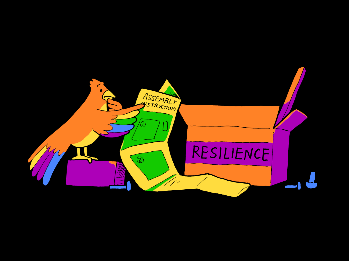 Resilience: Assembly Instructions